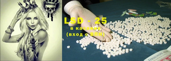 прущие грибы Костерёво