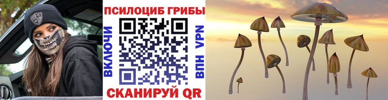 Галлюциногенные грибы MAGIC MUSHROOMS  Купить закладки  Ржев 
